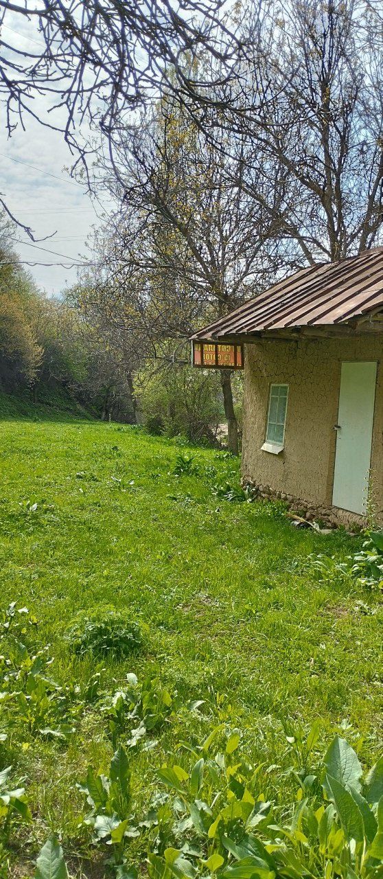 Amirsoyda 15sotixli yer sotiladi