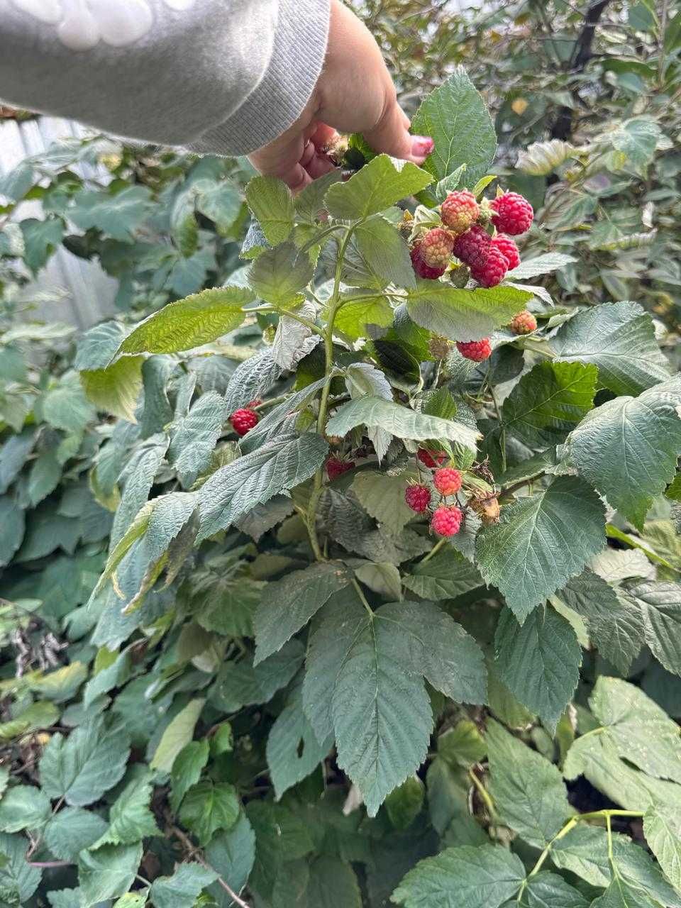 Продается частный дом