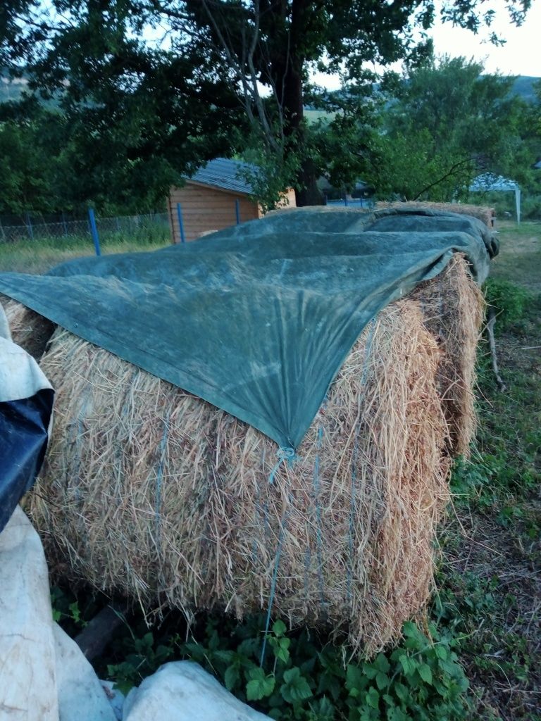 Vând baloți de lucernă 11 baloți