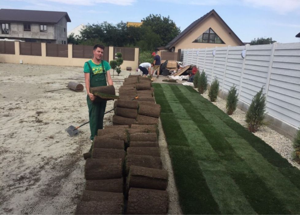 Gazon rulou + oriunde + transport oriunde in tara