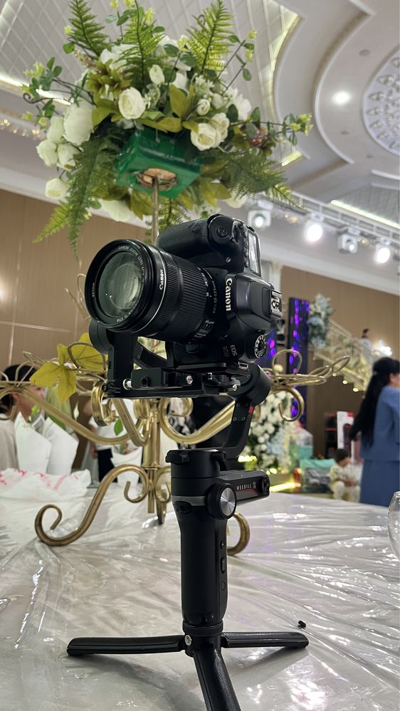 Canon80dronine34