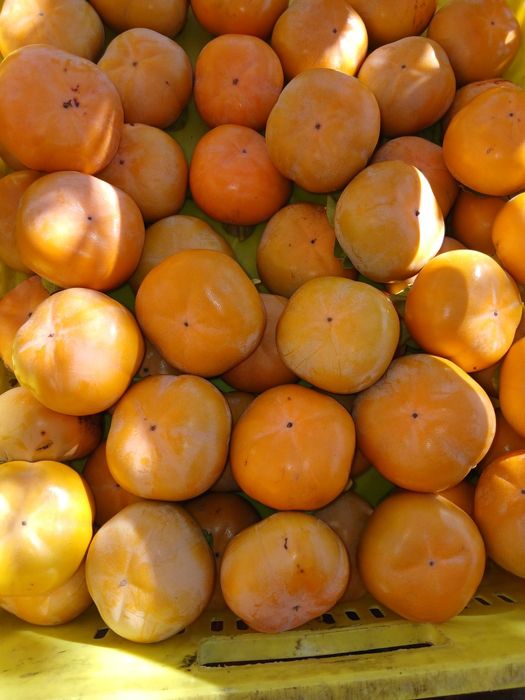 Продавам райска ябълки