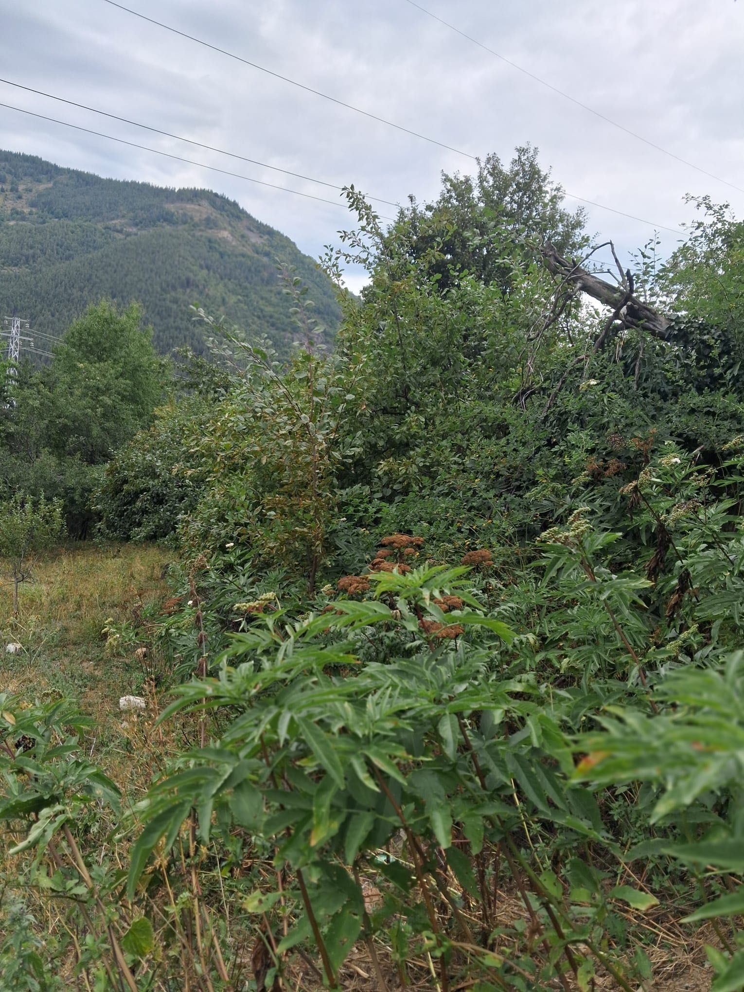 Къща в Село Джурково
