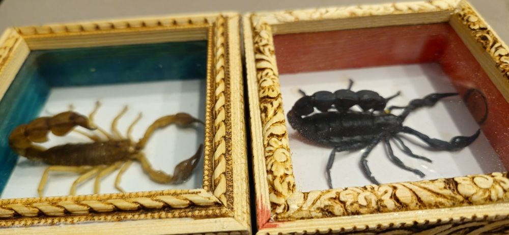 Vand stampe+diorame asiatice.Ou,feng shui,vaza..Scorpioni.Vezi 4 poze