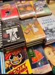 Meditații limba și literatura română