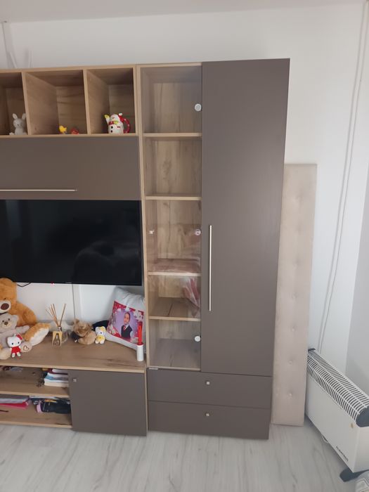 Mobila living (biblioteca )