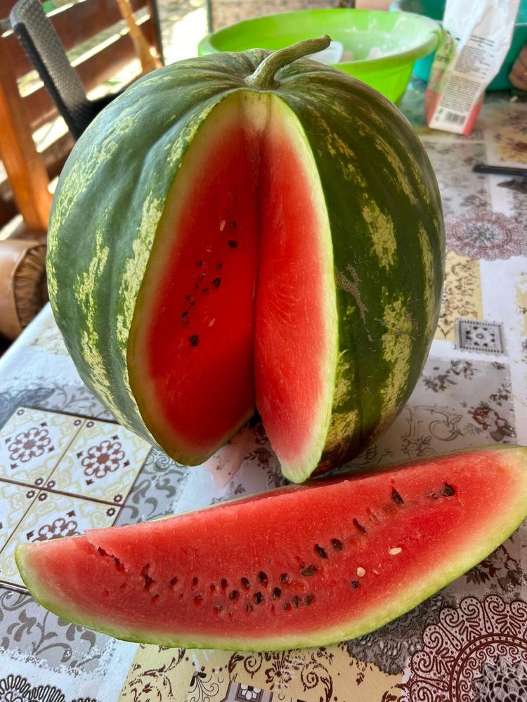 Pepeni verzi soiul Raci