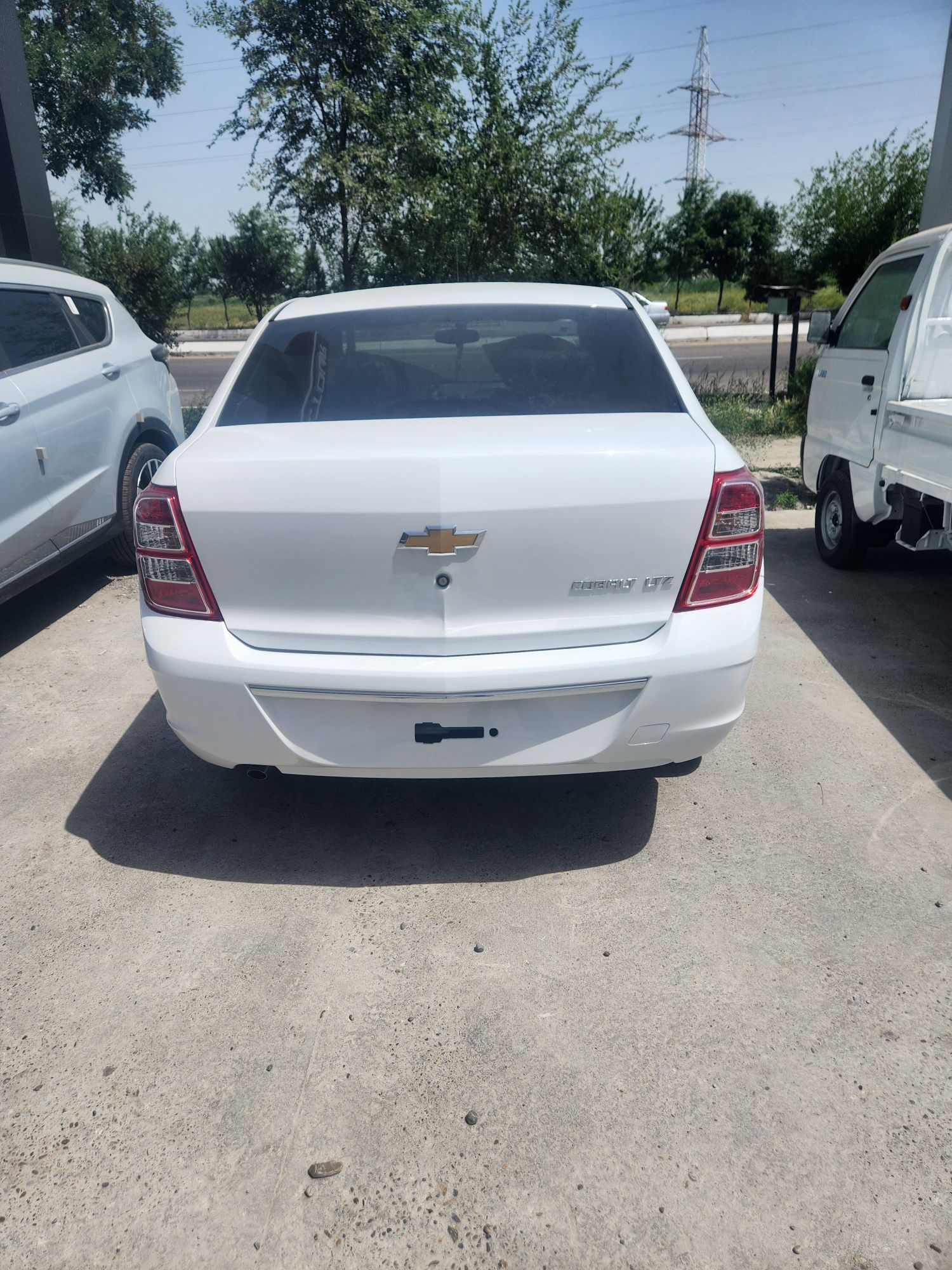 Cobalt LTZ optima 2025 shot nomizda