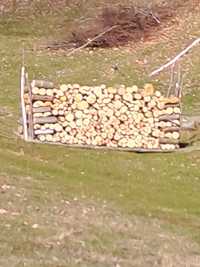 Vând lemne 450 lei metru cub