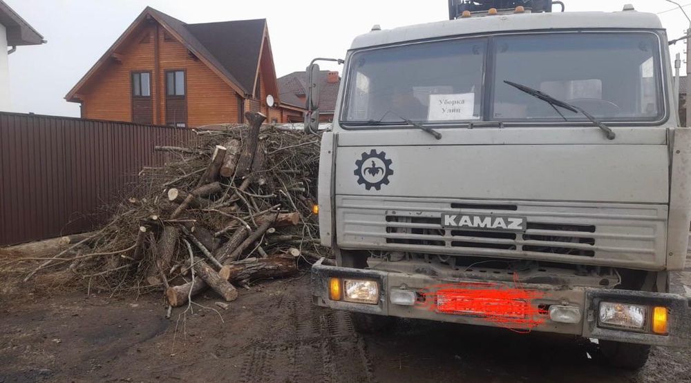 Продам дрова. Карагач, Ива.