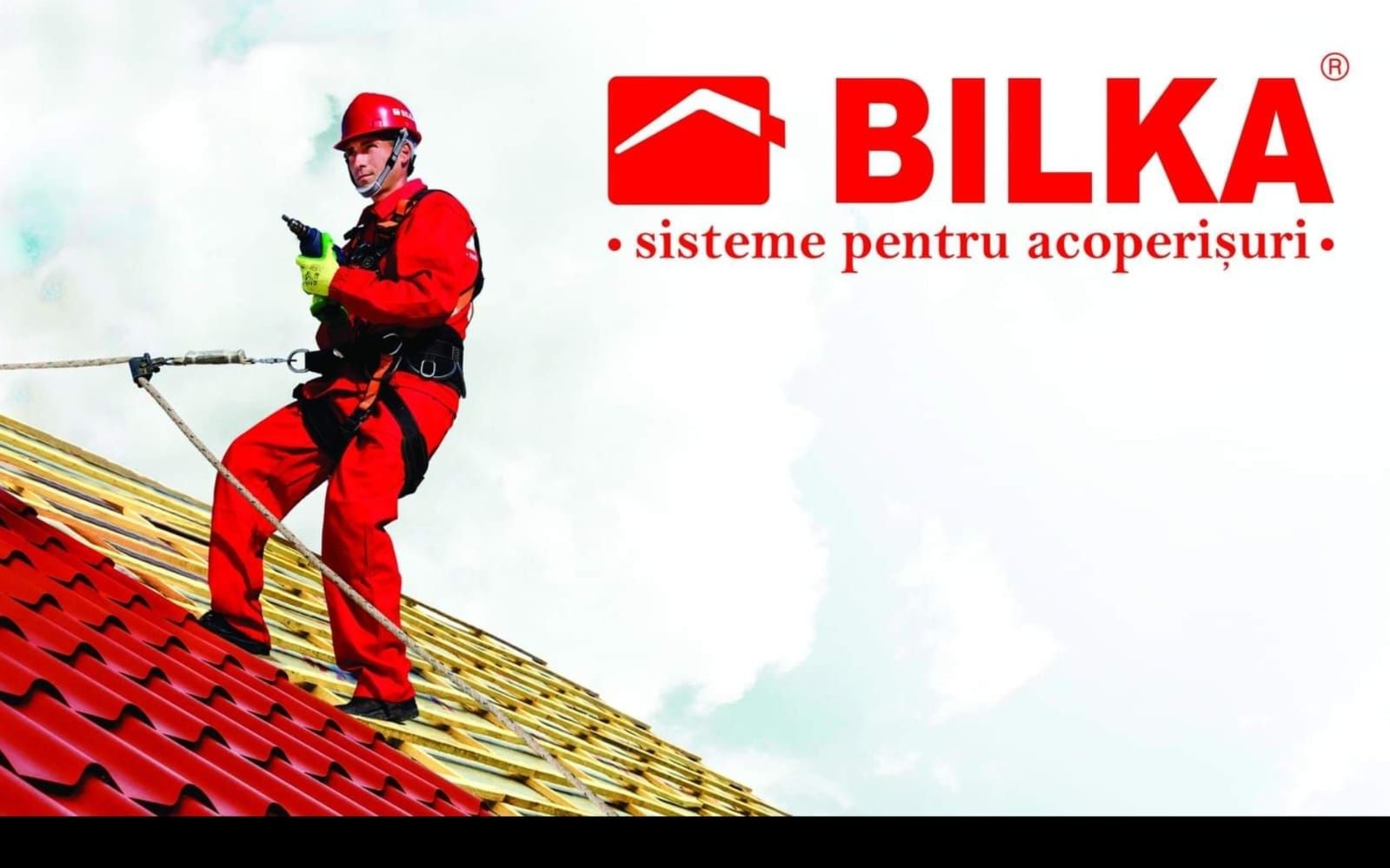Tigla metalica Bilka