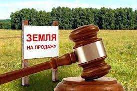 Янги шахарда бизнес учун ер сотилади