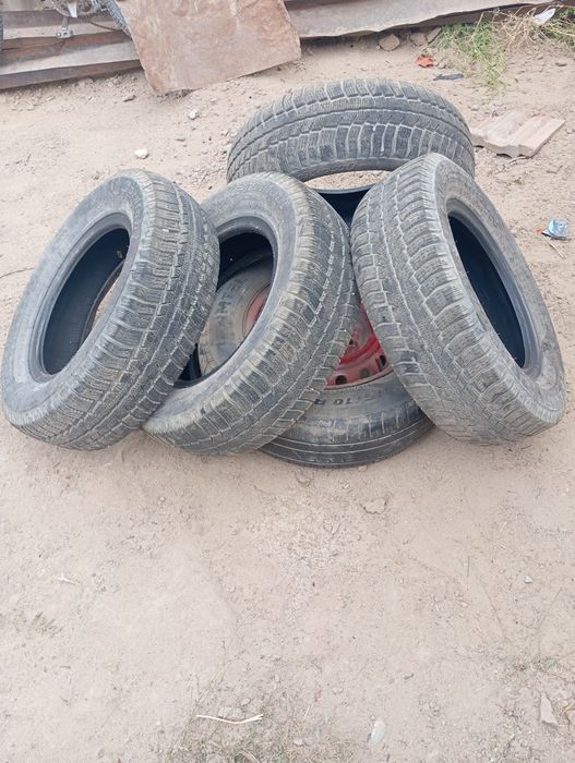 Зимний шишка нет