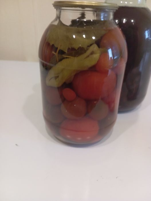 Помидоры ,дачные ,очень вкусные