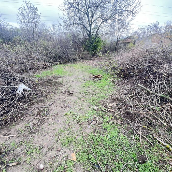 Teren Voluntari Metro 800 MP Str Scolii Asistenta Sociala IF