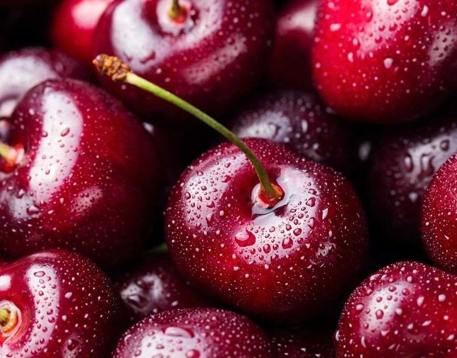 Продам саженцы разные,  многолетние цветы