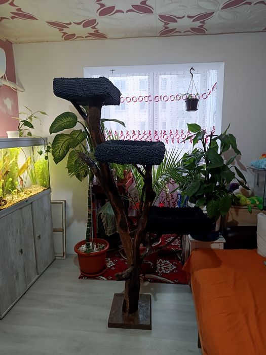 Ansamblu de joacă pentru pisici.