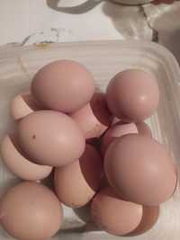 Домашние яйца по 80тенге