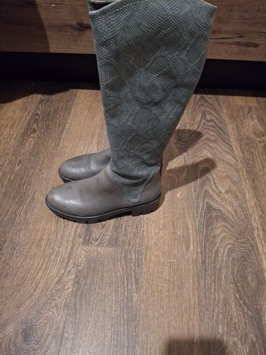 Gabina ботуши нови