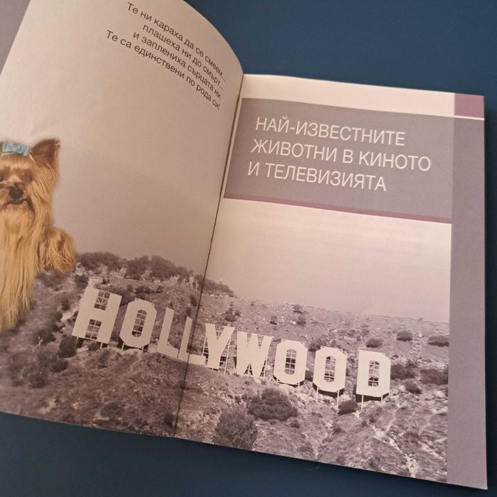 " Домашните любимци на Холивуд"