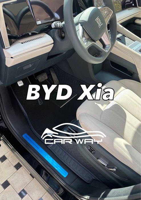9D polik / коврики для BYD Xia