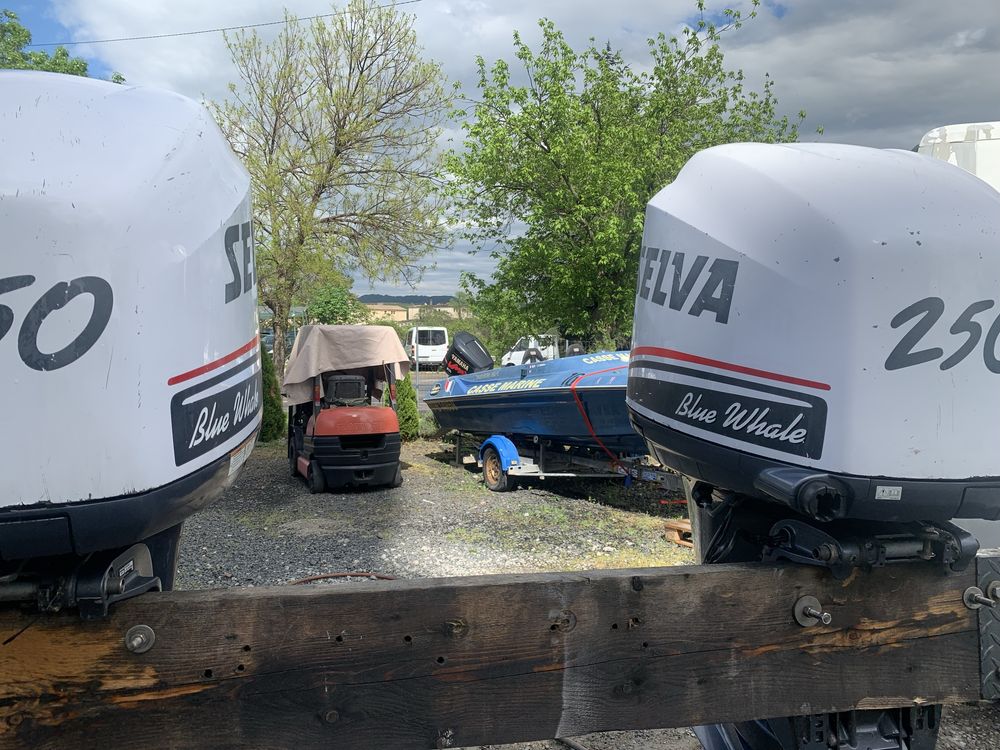 Yamaha f250 EFI TWIN