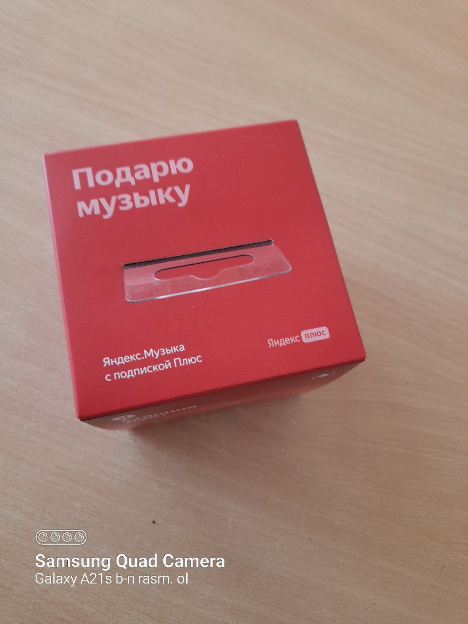 Yandex Lite. Alisa