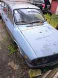 Dacia 1300 pentru Rabla