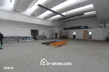 Hale - 250 mp - 340 mp - 500 mp - Gh Doja - Birouri incluse - 4E mp -
