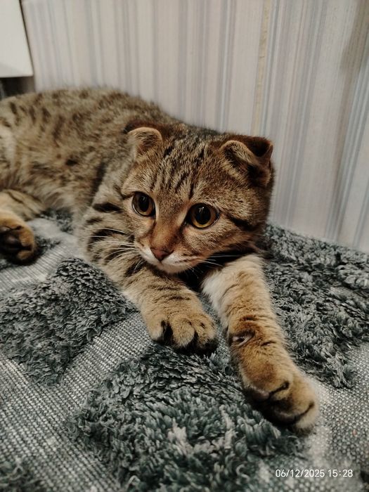 Мальчик 6 мес. В любящую семью.