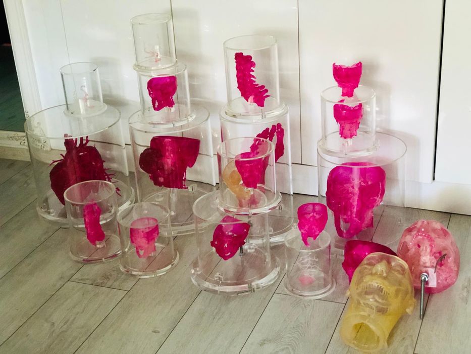 Super aet medical 3D organe craniu in cutii acryl plexiglasss