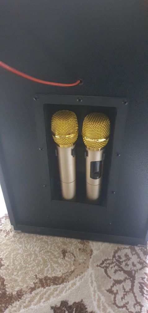 Акустическая система (усилитель) 2 микрофона