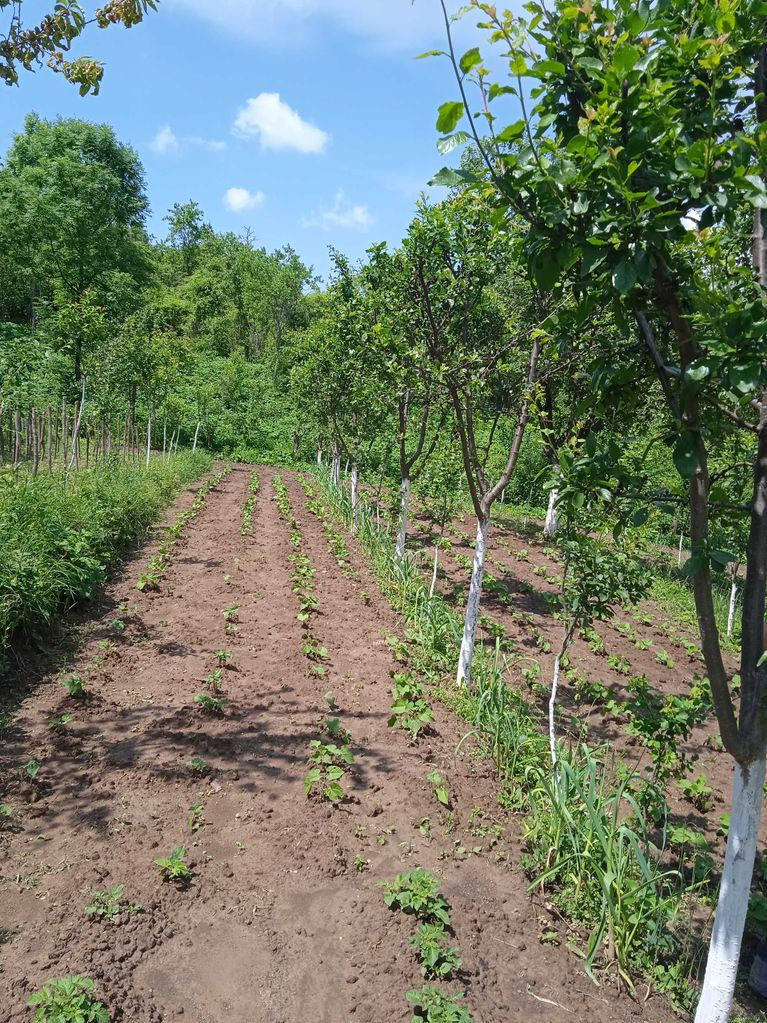 Продава се Къща в Антоново - 90 кв.м за 397 €/кв.м - Снимка #3