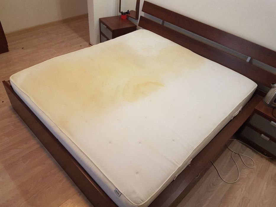 Mebel tozalash Toshkent 24/7