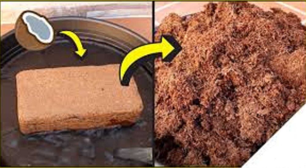 Substrat Grindal 10 Litri