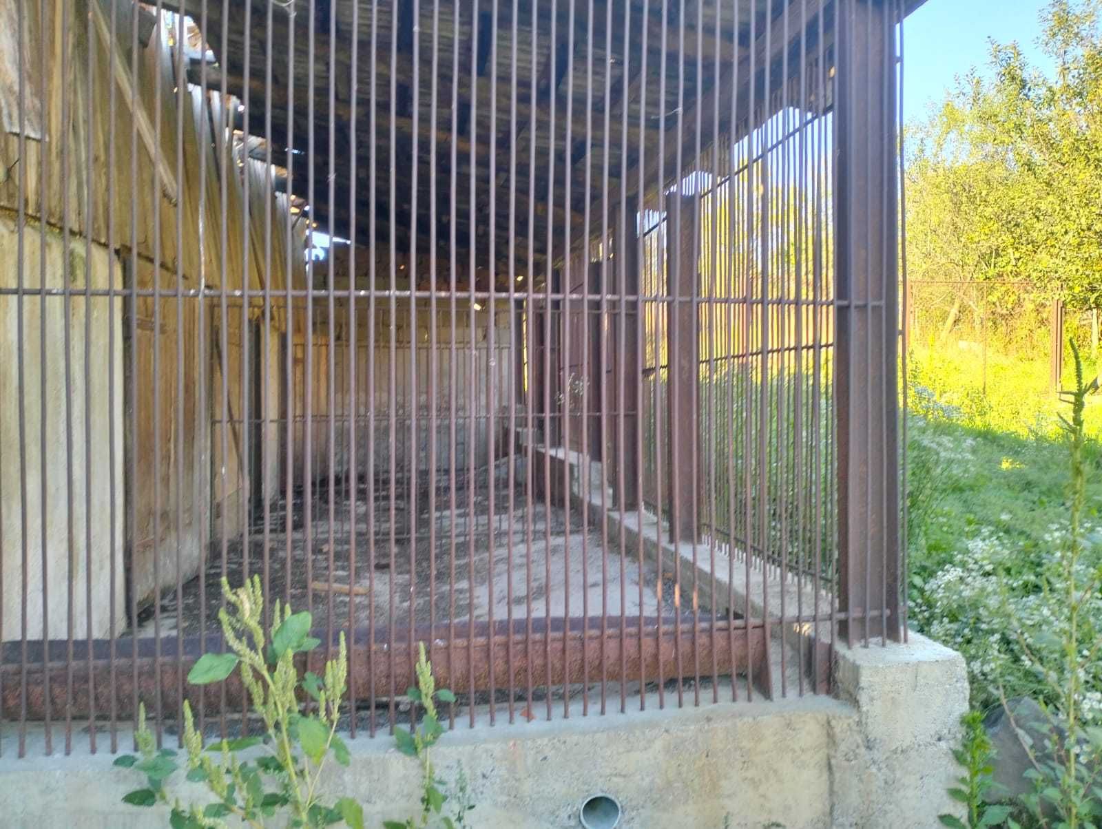 casa cu gradina in Crocna