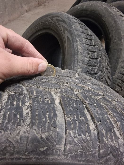 Гуми 205/55/16 Nokian WR-D4