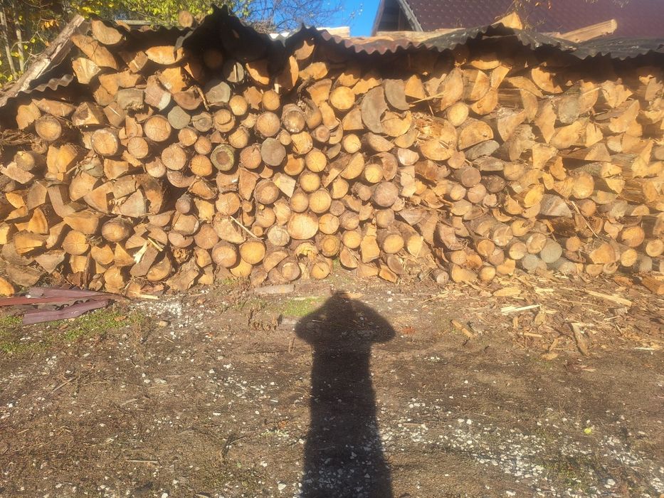 Lemn de foc esenta brad