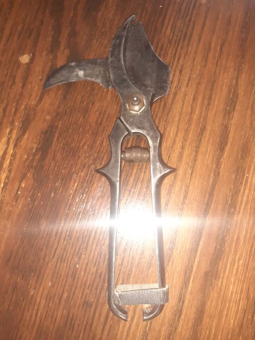 Лозарска ножица за лозе