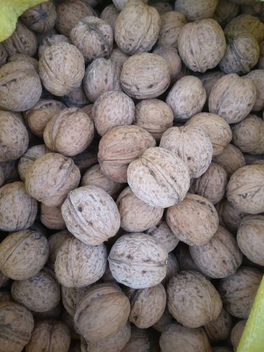 Vând nuci in coajă la 10 lei kg trimit prin posta