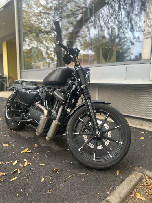 Harley Davidson Sportster 883 2019