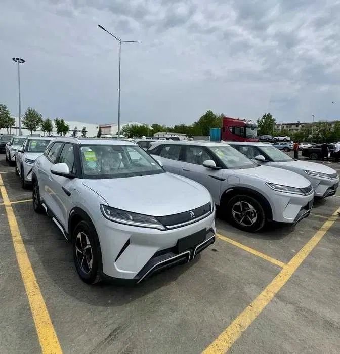 Byd Yuan Up хамма позициялари 2025