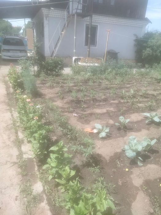 Продам дачу срочно