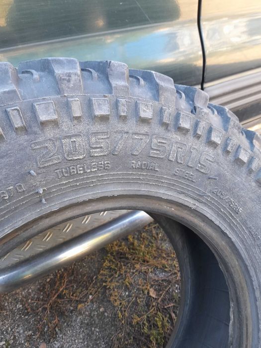 Употребявани гуми  Форварт Сафари 540
