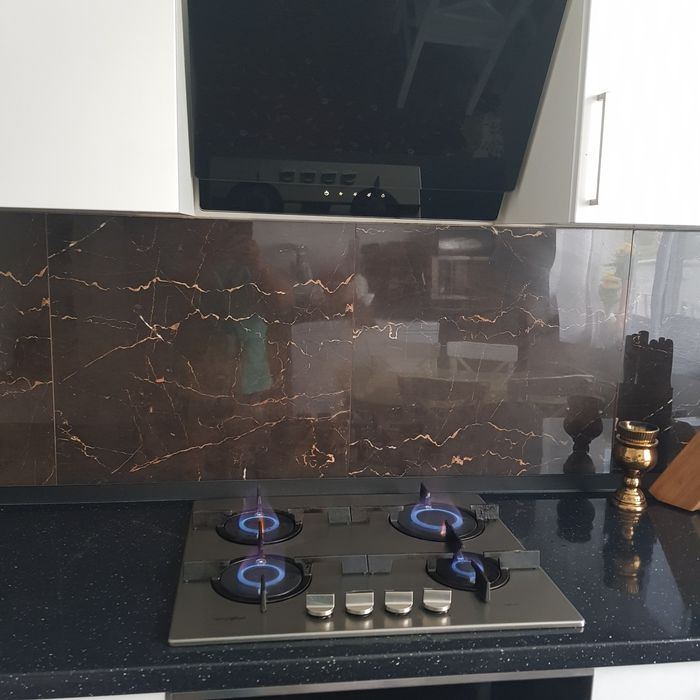 Plita pe gaz inox  functionare ireprosabila