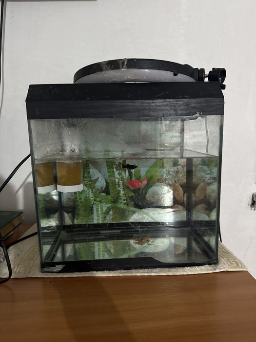 Аквариум на дом