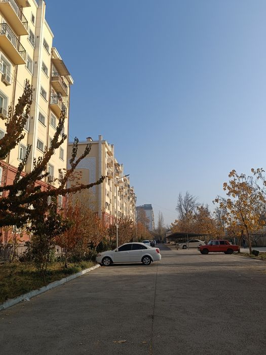 Yashashga tayyor honadon