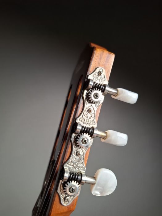 Vand chitara clasica Taylor 214ce-n