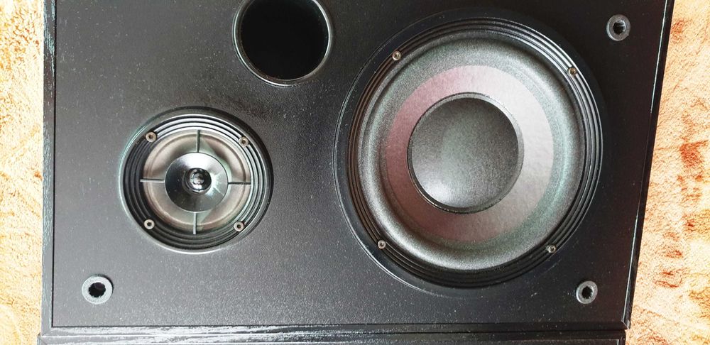 Bose Interaudio 3000XL