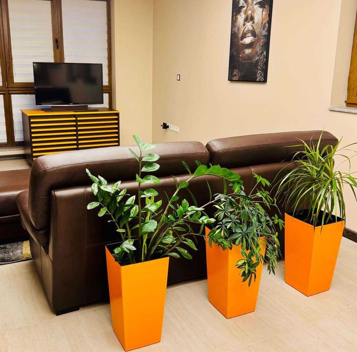 Дава се под наем Двустаен апартамент в Стара Загора, Център - 80 кв.м за 510 € - Снимка #5